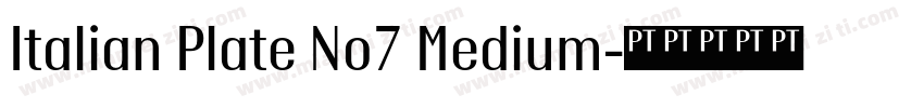 Italian Plate No7 Medium字体转换
